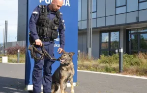 Luna przeszła na emeryturę. Policyjny pies spędzi ją ze swoim opiekunem