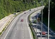 Zwierzęta przestaną ginąć na (fragmencie) obwodnicy?