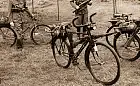 Wojska rowerowe w 1939 i obecnie