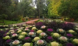 Ozdobią Gdańsk czterema tysiącami kwiatów