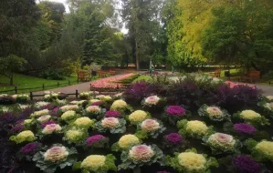 Ozdobią Gdańsk czterema tysiącami kwiatów