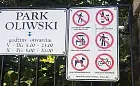 Park Oliwski: "zakaz" wyprowadzania psów to tylko "prośba"