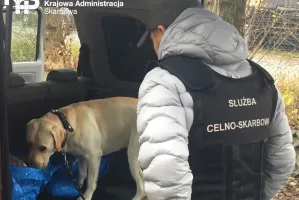 Bruno wywąchał 15 kg tytoniu