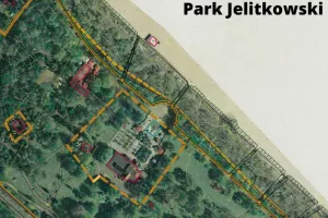 Bliżej metamorfozy w parku Jelitkowskim