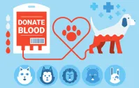Psy i koty też oddają krew. Tak działają banki krwi dla nich