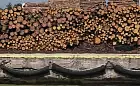 Wzrost przeładunku drewna w portach.  Tym razem głównie import