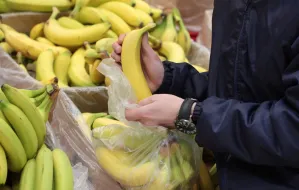 "Kokainowe banany" wykryte już w siedmiu marketach. W sumie niemal 100 kg