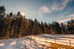 Zakup działki budowlanej zimą - na co zwrócić uwagę przy zakupie działki?