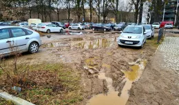 Parking przy parku Oliwskim może być większy, ale płatny