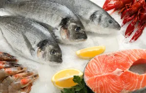 Ryba świeża czy mrożona? Sprawdzamy, co mają w ofercie trójmiejskie restauracje