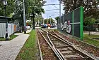 Drugie podejście do zielonego torowiska tramwajowego w Brzeźnie
