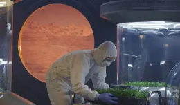 Gdyńska firma bada technologie upraw na Marsie