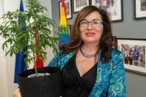 Posłanka Lewicy zaczyna hodować konopie w swoim biurze