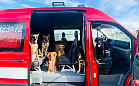Psi ratownicy mają swoje auto. Grupa Poszukiwawczo-Ratownicza OSP odebrała samochód