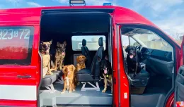 Psi ratownicy mają swoje auto. Grupa Poszukiwawczo-Ratownicza OSP odebrała samochód