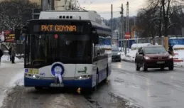 Gdyński ZKM przepyta także kierowców osobówek