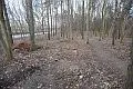 Park, który integruje, czy las, który dzieli?