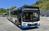 Autobusem z Gdyni do zoo. Meleks w Orłowie i zabytkowe trolejbusy
