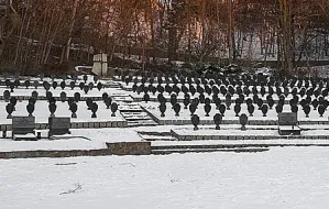 Gdynia bardziej zadba o cmentarz wojenny