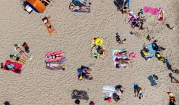Ekologiczne plażowanie w Trójmieście. Sprawdź, jak to zrobić