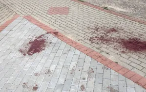 Krwawa libacja w Gdyni-Dąbrowie. Sprawca już w rękach policji
