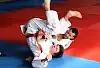 Akademickie mistrzostwa Polski w judo