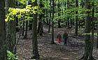 Za 1,6 mln zł wyremontują szlaki turystyczne w lesie