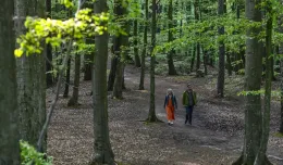 Za 1,6 mln zł wyremontują szlaki turystyczne w lesie