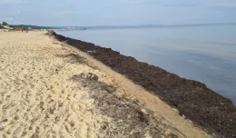 Niski stan wody i brak fal przyczyną zanieczyszczeń plaż w Brzeźnie i Babich Dołach