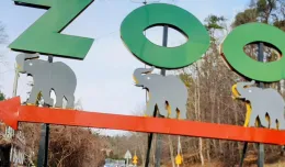 Zaprojektuj nowy drogowskaz do zoo. O wyborze zdecyduje głosowanie