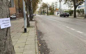 Droga rowerowa zamiast miejsc postojowych. Zmiany przy hali w Gdyni