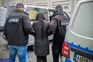 Kierownicy i pracownicy klubów go-go zatrzymani