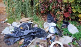 Śmieci znikną sprzed przystanku SKM na Przymorzu