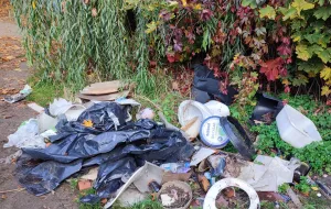 Śmieci znikną sprzed przystanku SKM na Przymorzu