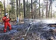 Groźne pożary trójmiejskich lasów