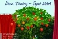 IX Festiwal "Dwa Teatry - Sopot 2009"