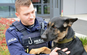 Pies Asza dołącza do gdańskiej policji