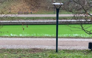 Zielona woda płynie przez miasto