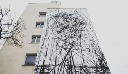 Tego muralu nie da się odtworzyć. Zniknęła jedna z ciekawszych prac w Gdyni