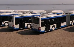 Darmowy internet w gdyńskich autobusach