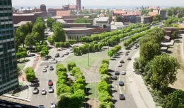 Prawie 600 nowych drzew w centrum Gdańska. Na ile ta wizja jest realna?
