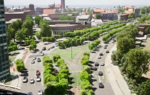 Prawie 600 nowych drzew w centrum Gdańska. Na ile ta wizja jest realna?