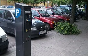 Gdynia: jedyne takie parkomaty w Polsce