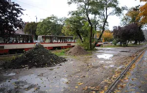Posprzątają bałagan w centrum Gdańska