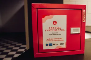 Darmowe podpaski w szkołach i urzędach. "To tak samo naturalne, jak papier toaletowy"