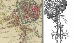 Mapa Gdańska jak układ nerwowy człowieka