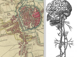 Mapa Gdańska jak układ nerwowy człowieka
