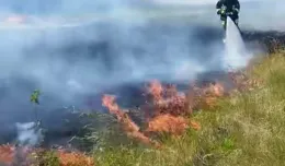 Plaga pożarów na Wyspie Sobieszewskiej. To prawdopodobnie podpalenia