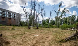 Prawomocna kara 214 tys. zł za zatrucie 39 drzew
