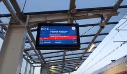 Polskie pociągi mają mniej spóźnień. Poziom punktualności 91 proc.